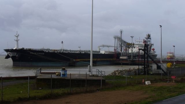 Searanger - Donges - 28 novembre 2009.JPG